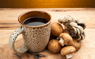 [2022] NOOTROPIC SHROOM-COFFEE – The Top 3 Best Nootropic Mushroom Coffee Brands