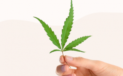 [2022] VERMA FARMS CBD REVIEW – Our #1 CBD Supplement Source